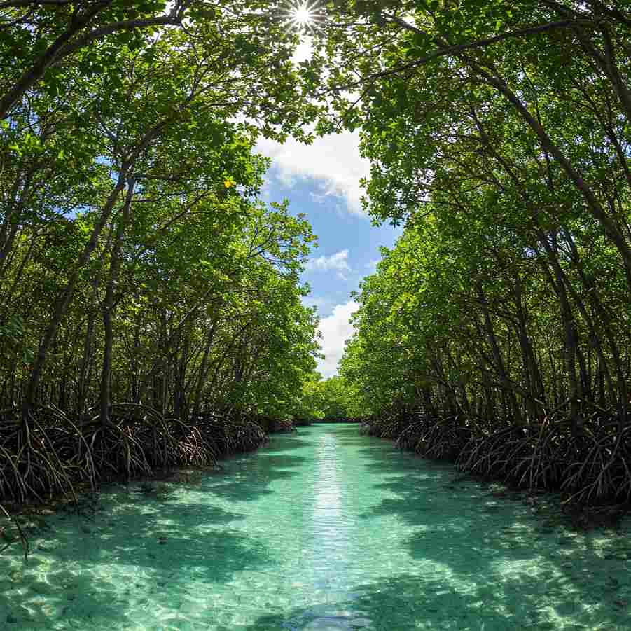Baratang Island — Andaman & Nicobar Islands