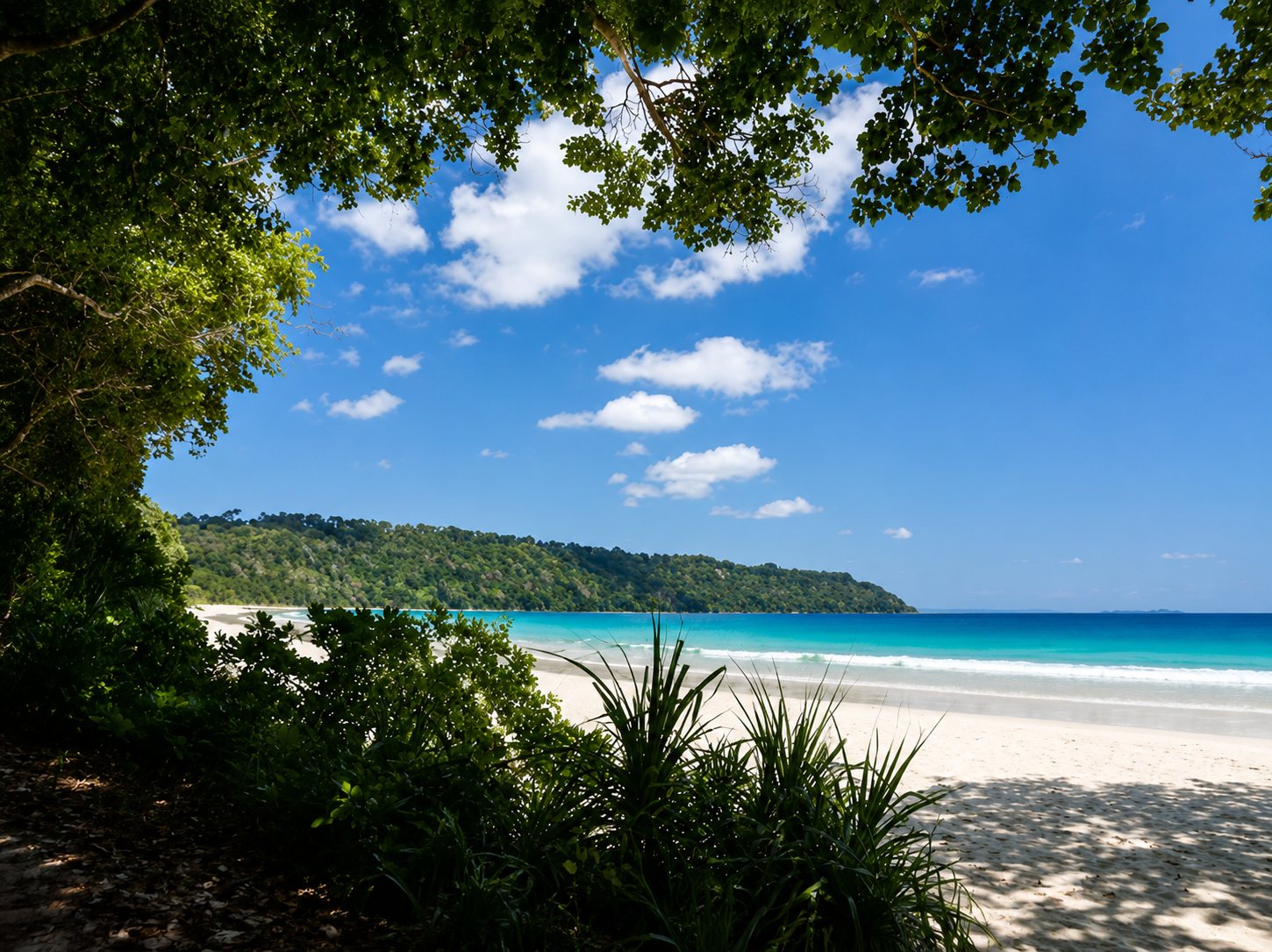 Port Blair to Havelock — Andaman itinerary