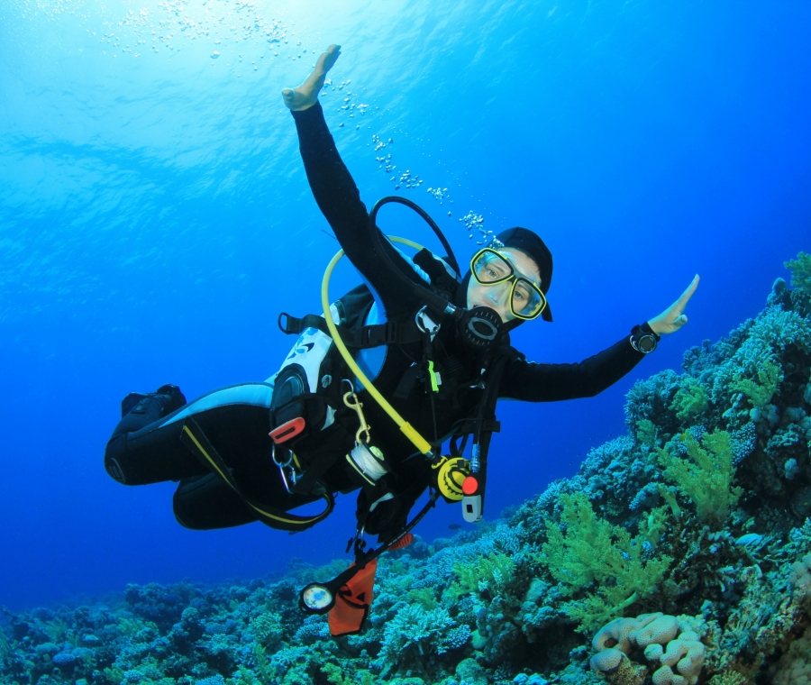 Elephant Beach & Scuba Diving — Andaman itinerary