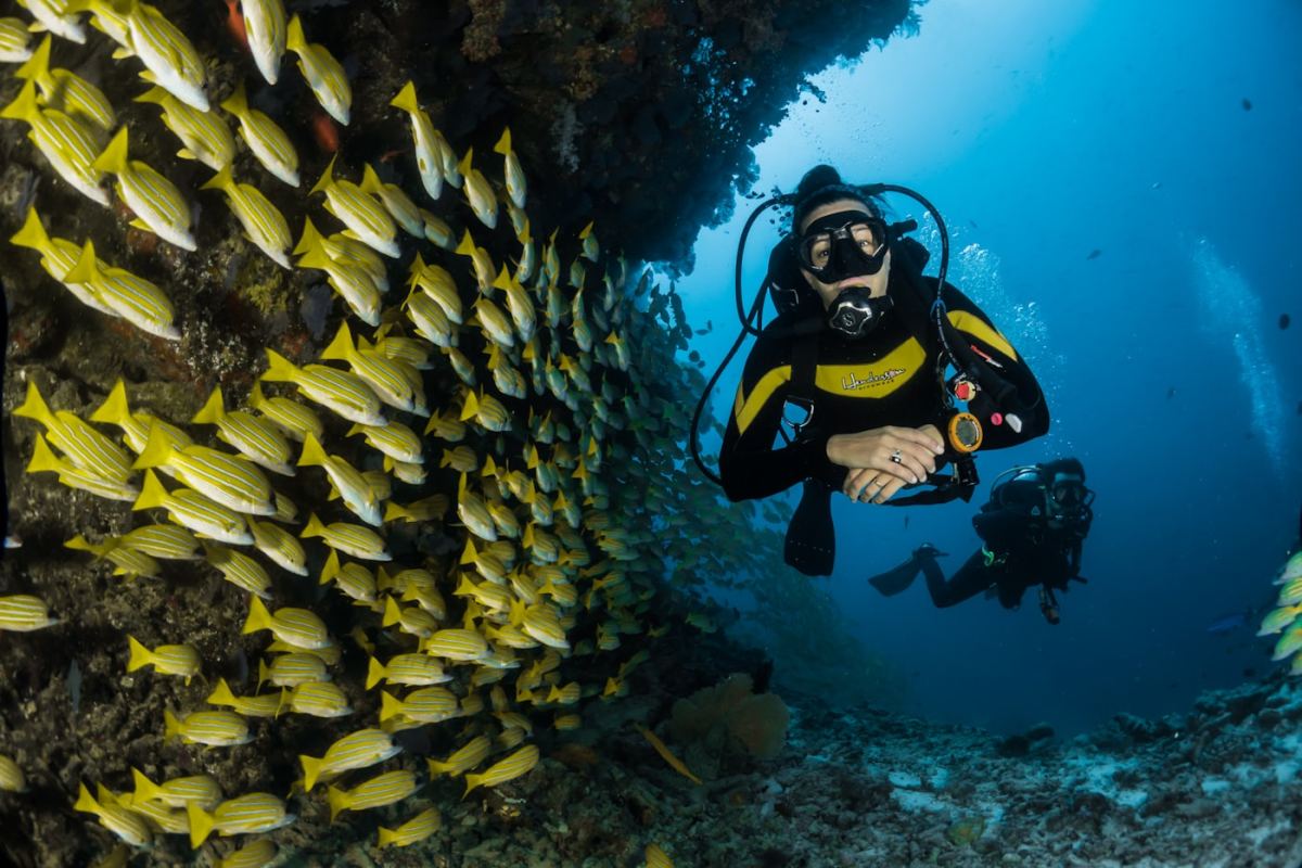 Elephant Beach & Scuba Diving — Andaman itinerary